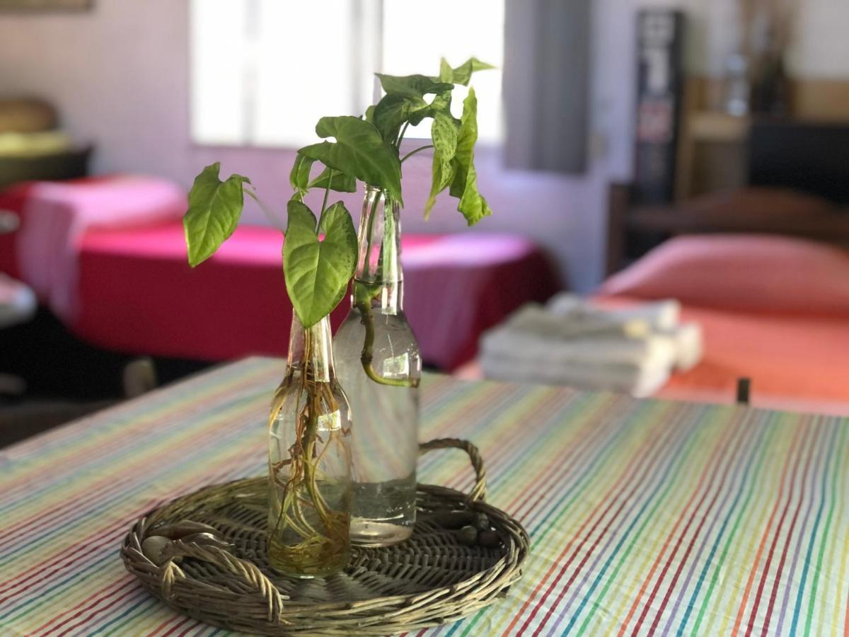Casita Del Parque Hotel Salto Ngoại thất bức ảnh